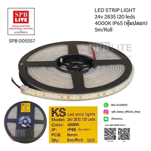 SPB- LED STRIP LIGHTS (005557)