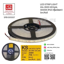 SPB- LED STRIP LIGHTS (005557)