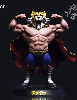 Rocket Studio: TigerMask