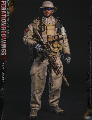 DAMTOYS 78069 1/6 Operation Red Wings -NAVY SEALS SDV TEAM 1