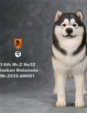 Mr.Z MRZ032-AM001 Alaskan Malamute Black and White 