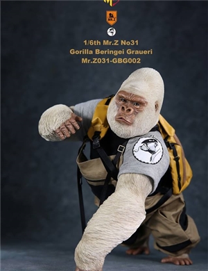 Mr.Z MR.Z031-GBG002 WHITE  Gorilla Beringei Graueri  with replaceable head and moveable upper limbs