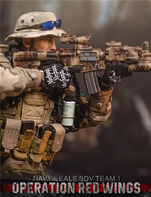 DAMTOYS 1/6 Operation Red Wings : NAVY SEALS SDV TEAM 1 - Team Leader